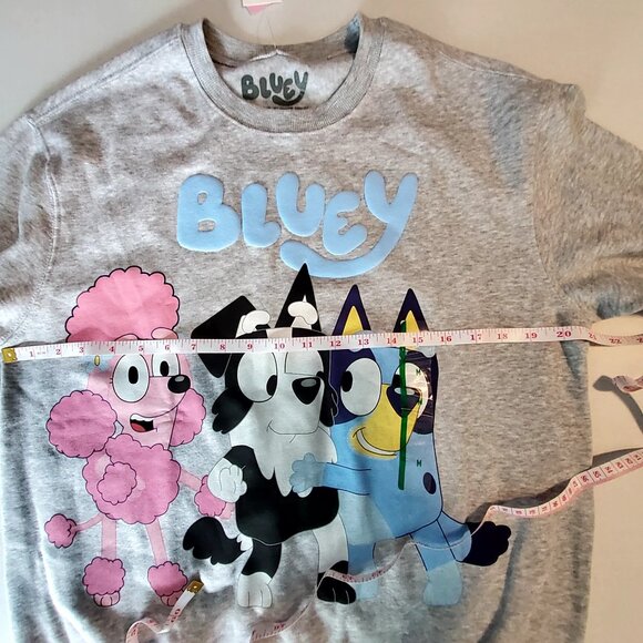 Bluey Heather Grey Sweatshirt Size M Featuring Best Buddies Front & Back Graphic - Picture 3 of 7